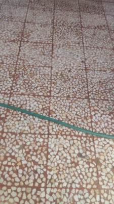 کفسابی نماشویی زنجان